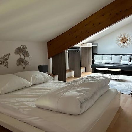 Appartement Lumineux Avec Vue Sur Les Montagnes モルビエ エクステリア 写真