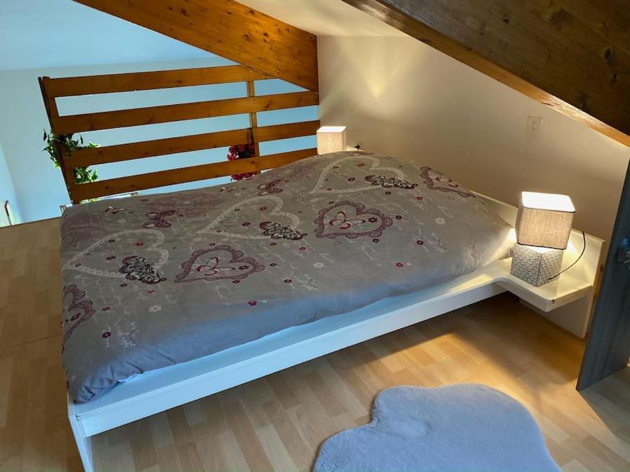 Appartement Lumineux Avec Vue Sur Les Montagnes モルビエ エクステリア 写真