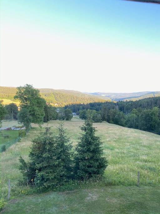 Appartement Lumineux Avec Vue Sur Les Montagnes モルビエ エクステリア 写真