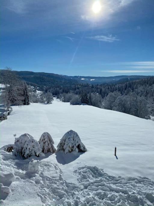 Appartement Lumineux Avec Vue Sur Les Montagnes モルビエ エクステリア 写真