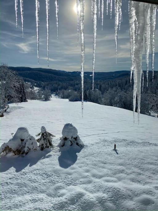 Appartement Lumineux Avec Vue Sur Les Montagnes モルビエ エクステリア 写真